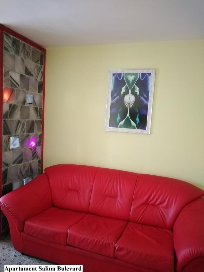 Apartament Salina Bulevard アルバ・ユリア エクステリア 写真