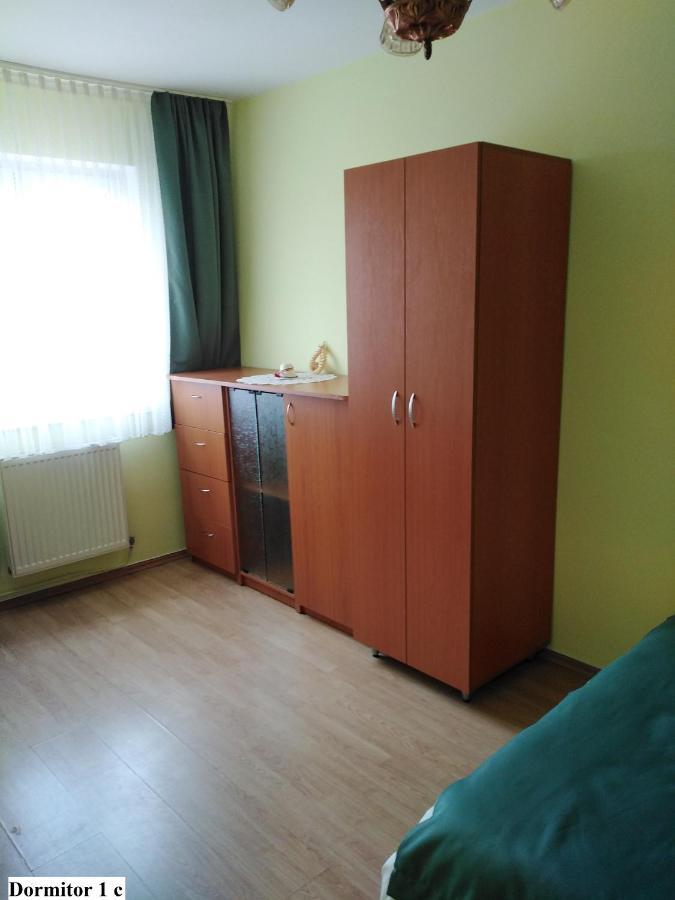 Apartament Salina Bulevard アルバ・ユリア エクステリア 写真