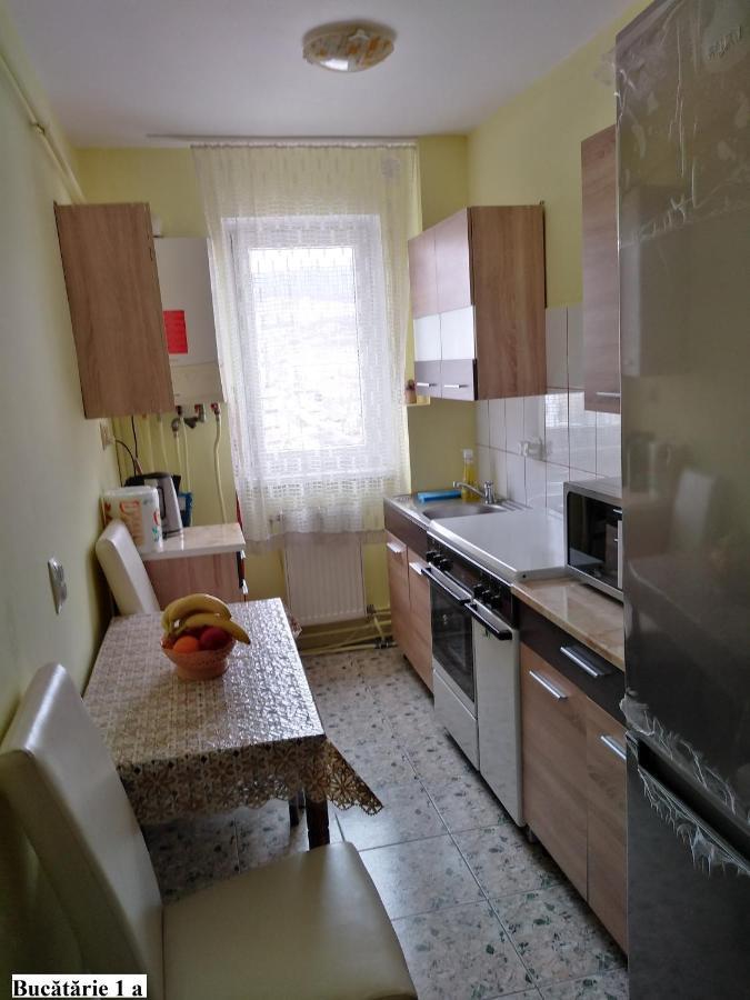 Apartament Salina Bulevard アルバ・ユリア エクステリア 写真