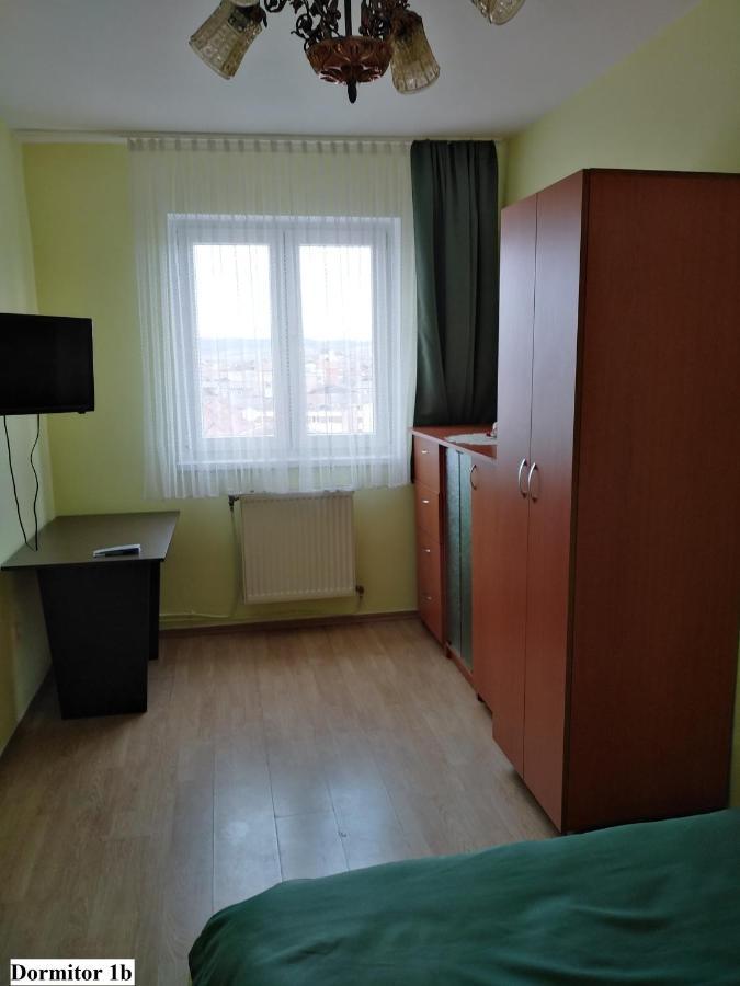 Apartament Salina Bulevard アルバ・ユリア エクステリア 写真