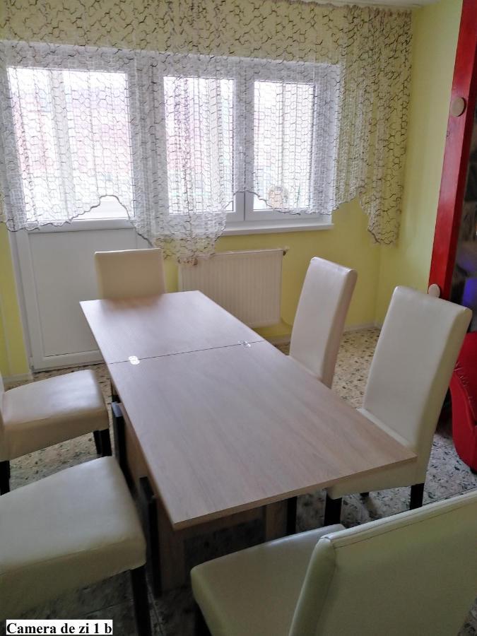 Apartament Salina Bulevard アルバ・ユリア エクステリア 写真
