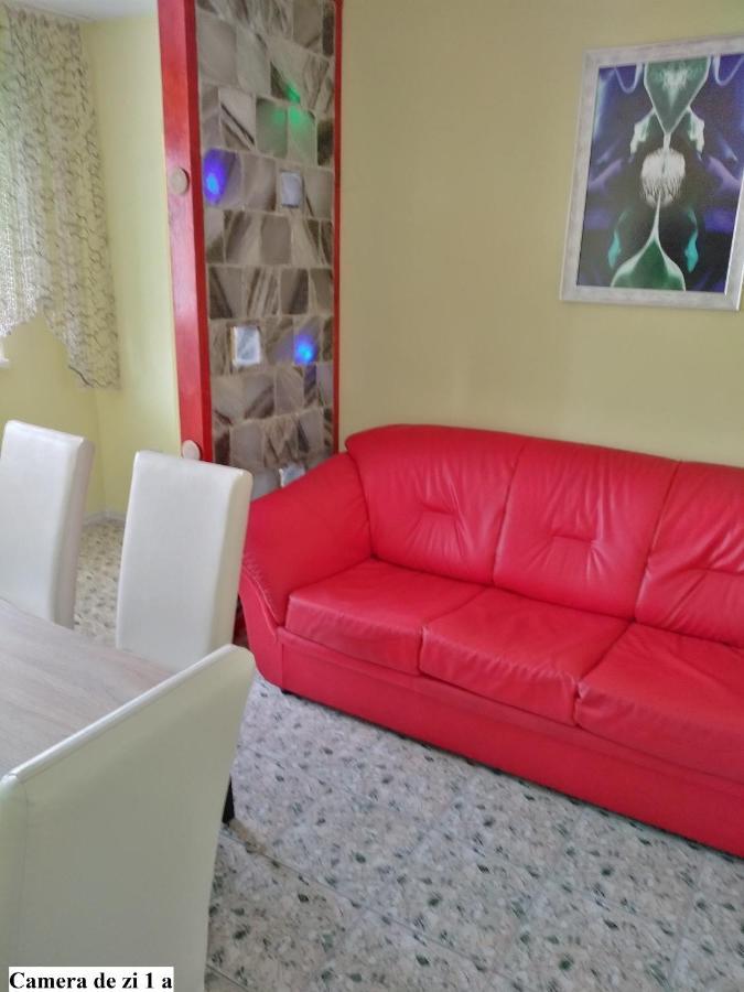 Apartament Salina Bulevard アルバ・ユリア エクステリア 写真
