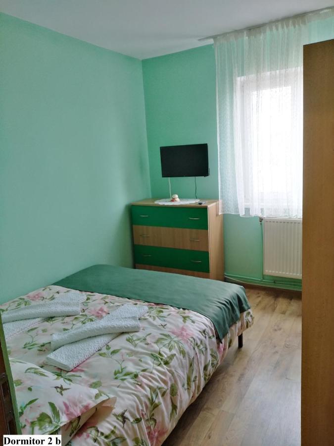 Apartament Salina Bulevard アルバ・ユリア エクステリア 写真