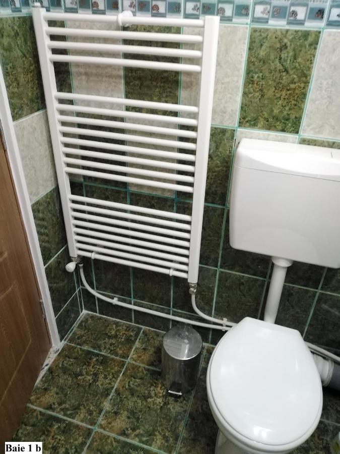 Apartament Salina Bulevard アルバ・ユリア エクステリア 写真