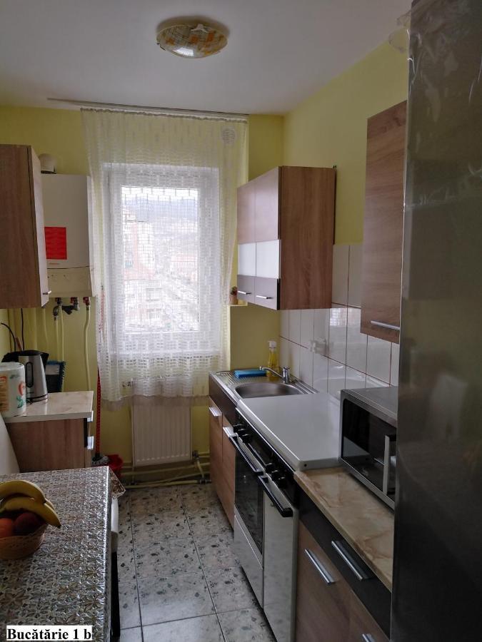 Apartament Salina Bulevard アルバ・ユリア エクステリア 写真