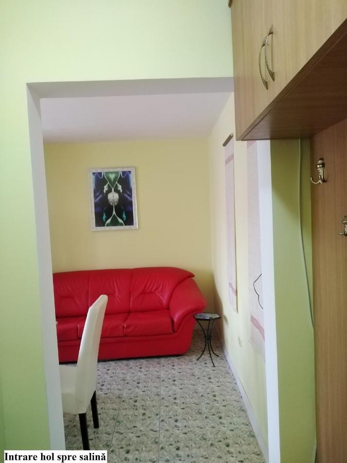 Apartament Salina Bulevard アルバ・ユリア エクステリア 写真