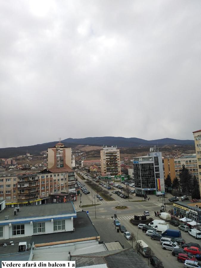Apartament Salina Bulevard アルバ・ユリア エクステリア 写真