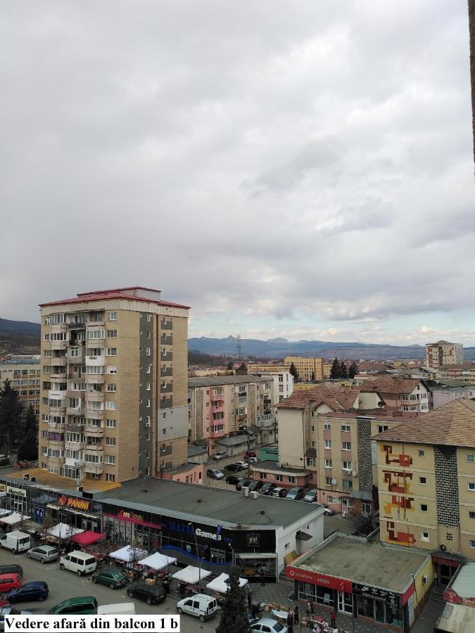 Apartament Salina Bulevard アルバ・ユリア エクステリア 写真